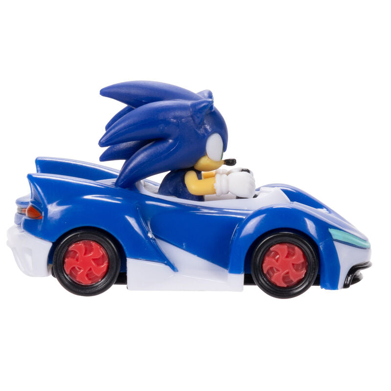 Sonic the Hedgehog Figura da Collezione Veicolo Serie 6 - Nerdscape Nerdscape