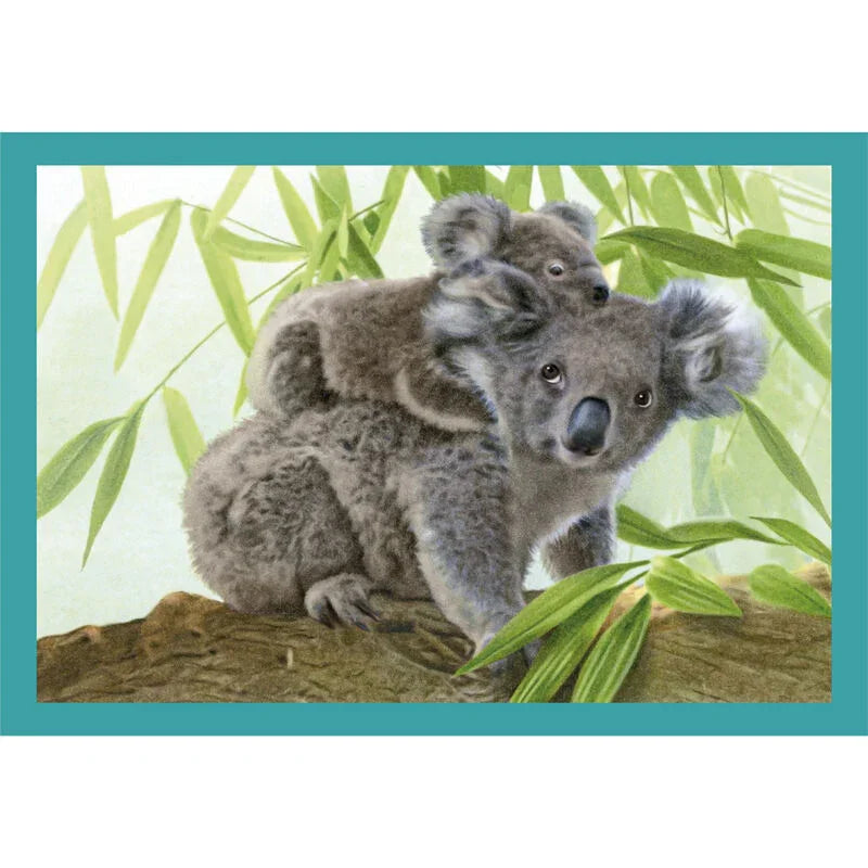 Noli Baby Cuddles puzzle 12-16-20-24pcs Nerdscape