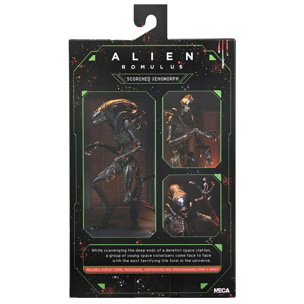Alien Romulus Scorched Xenomorph Figura da Collezione 23cm - Nerdscape Nerdscape