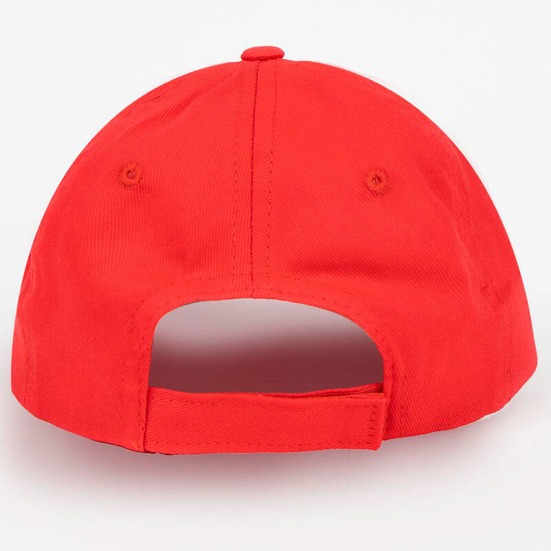 Paw Patrol assorted cap Nerdscape