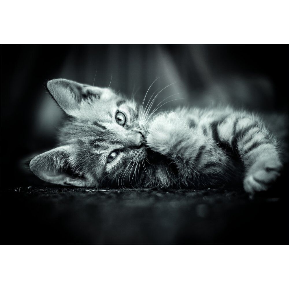 High Quality Kitty puzzle 1000pcs Nerdscape