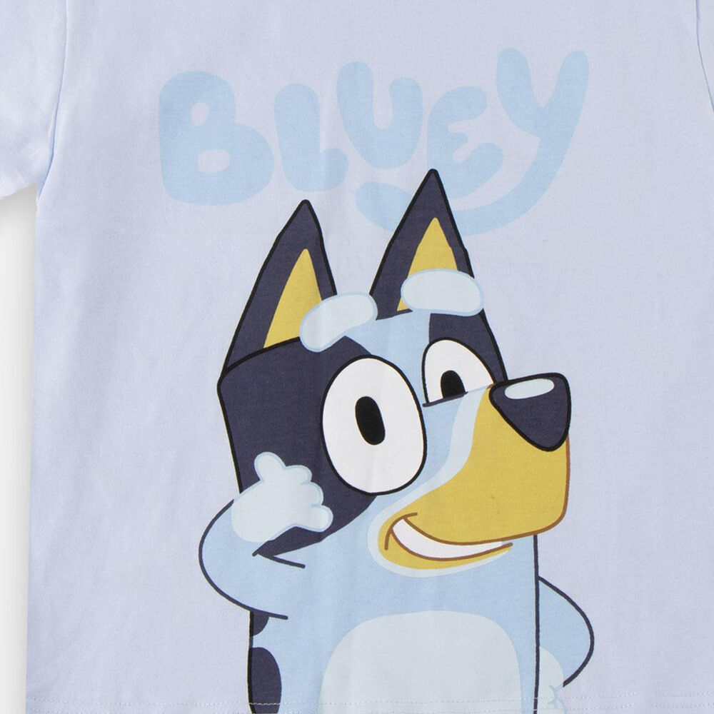 Bluey t-shirt Nerdscape