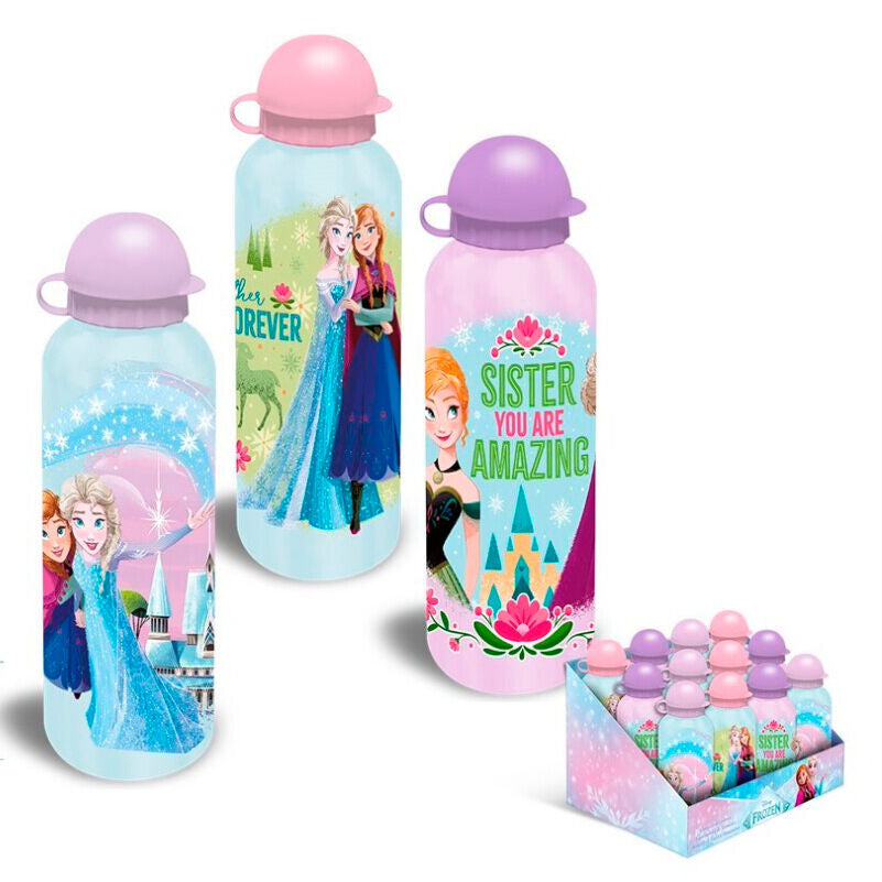 Disney Frozen assorted stainless steel bottle 500ml Nerdscape