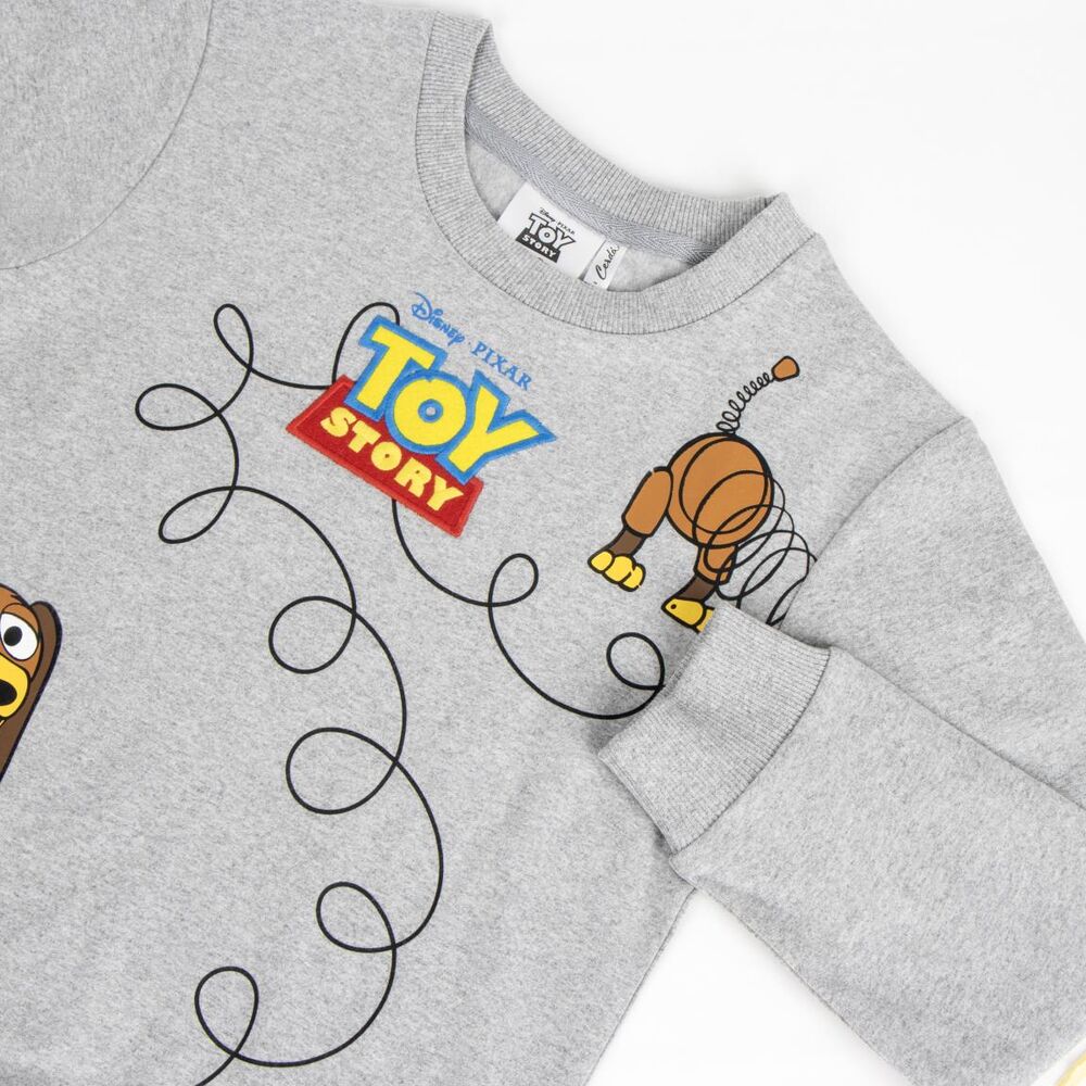 Disney Pixar Toy Story sweatshirt Nerdscape
