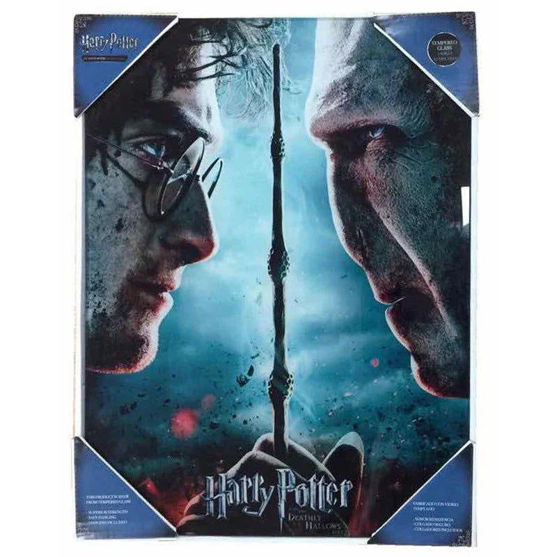 Harry Potter vs Voldemort glass poster Nerdscape