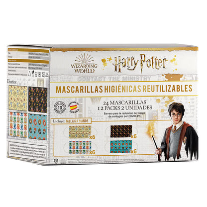 Harry Potter 6/9 years assorted face mask Nerdscape