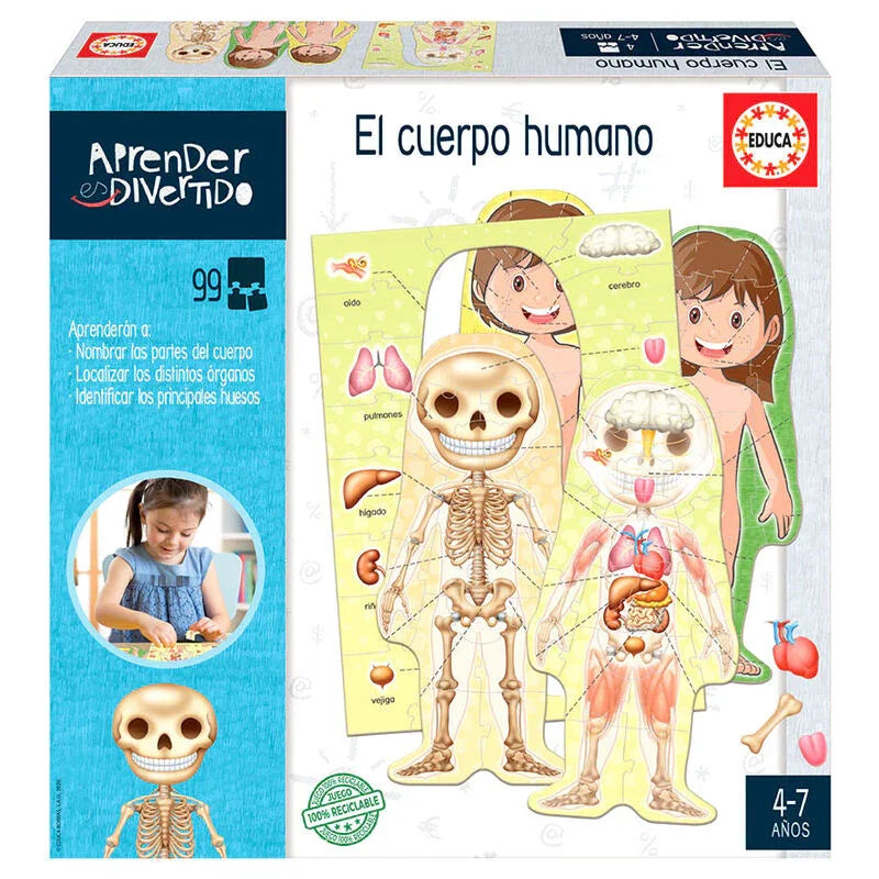 Spanish The Human Body Nerdscape