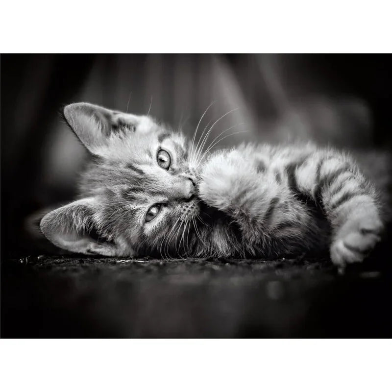 Kitty puzzle 1000pcs Nerdscape