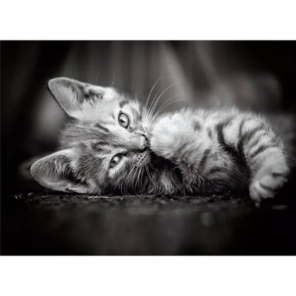 Kitty puzzle 1000pcs Nerdscape
