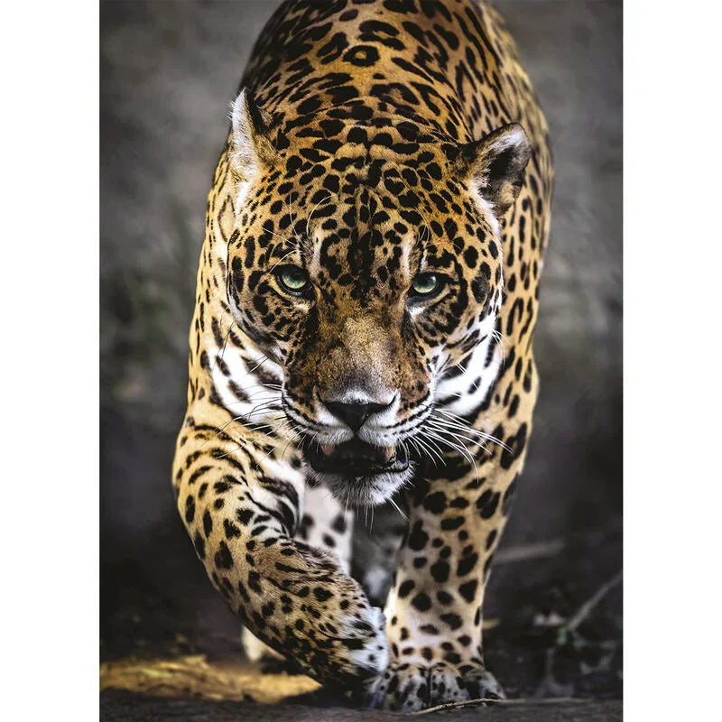 Walk of the Jaguar puzzle 1000pcs Nerdscape