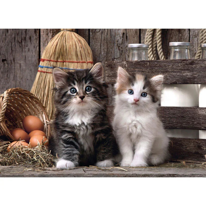 Lovely Kittens puzzle 1000pcs Nerdscape