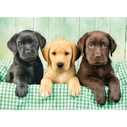Three Labs puzzle 1000pcs Nerdscape