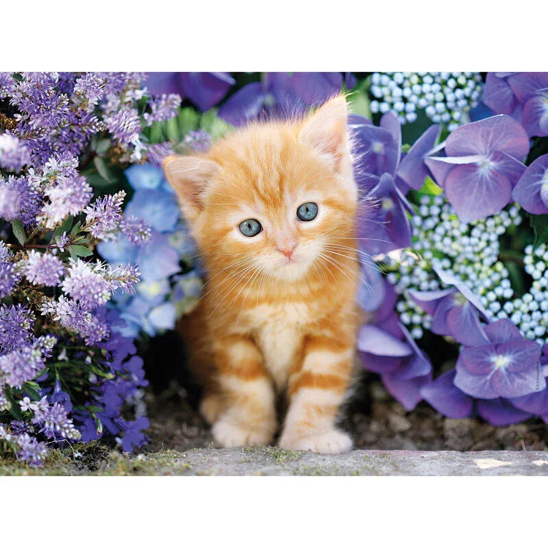 Ginger Cat in Flowers puzzle 500pcs Nerdscape