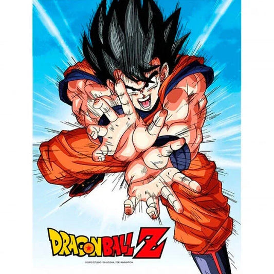 Dragon Ball Z Goku Kame glass poster Nerdscape