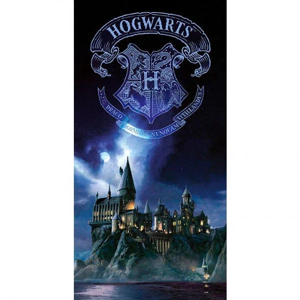 Harry Potter Hogwarts glass poster Nerdscape