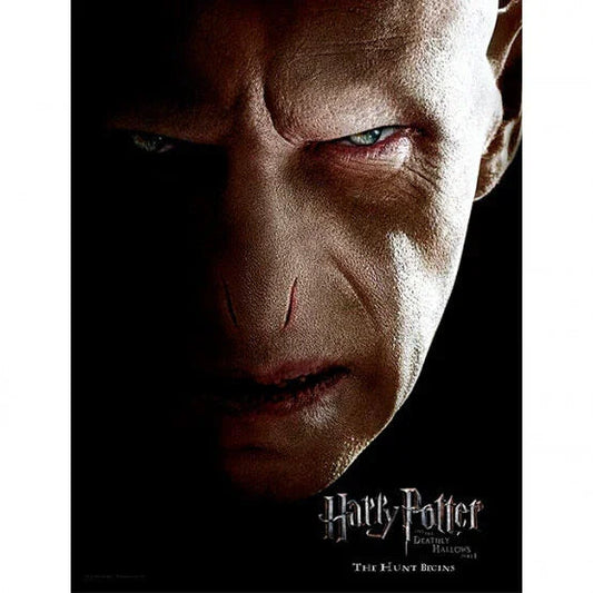 Harry Potter Voldemort Face glass poster Nerdscape