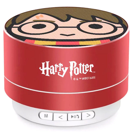 Harry Potter Figura da Collezione - Nerdscape