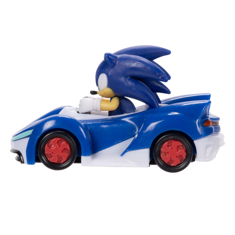 Sonic the Hedgehog Figura da Collezione Veicolo Serie 6 - Nerdscape Nerdscape