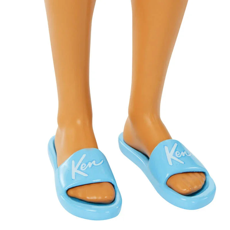 Barbie Day at the Beach Ken doll Nerdscape