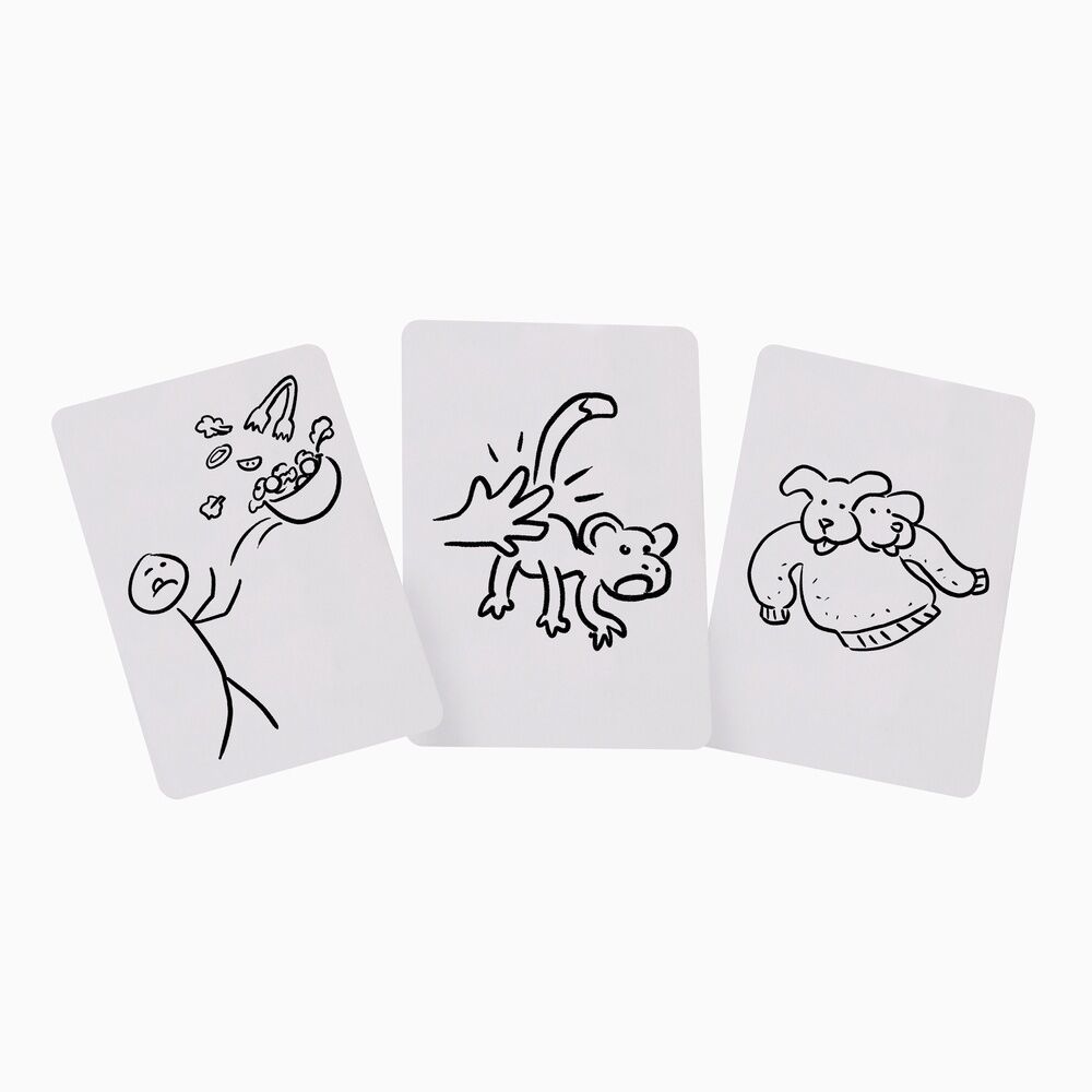 Spanish Pictionary adult board game Nerdscape
