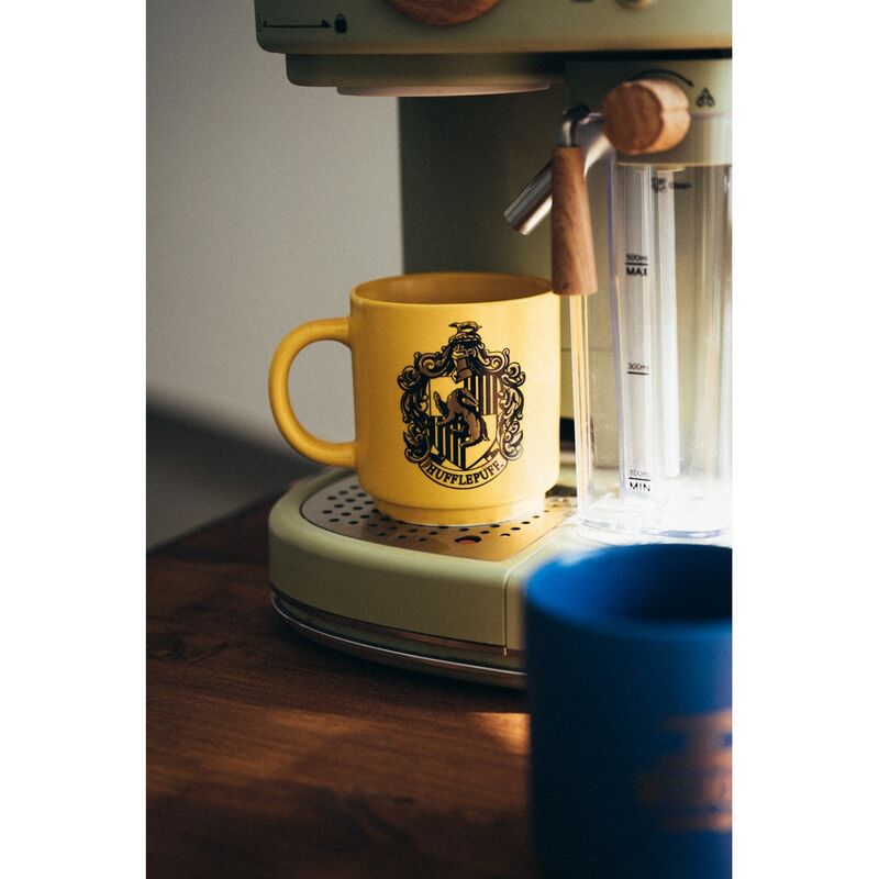 Harry Potter set of 4 mugs 300ml Nerdscape