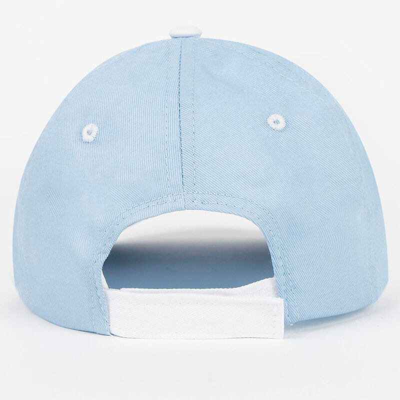 Bluey assorted cap Nerdscape