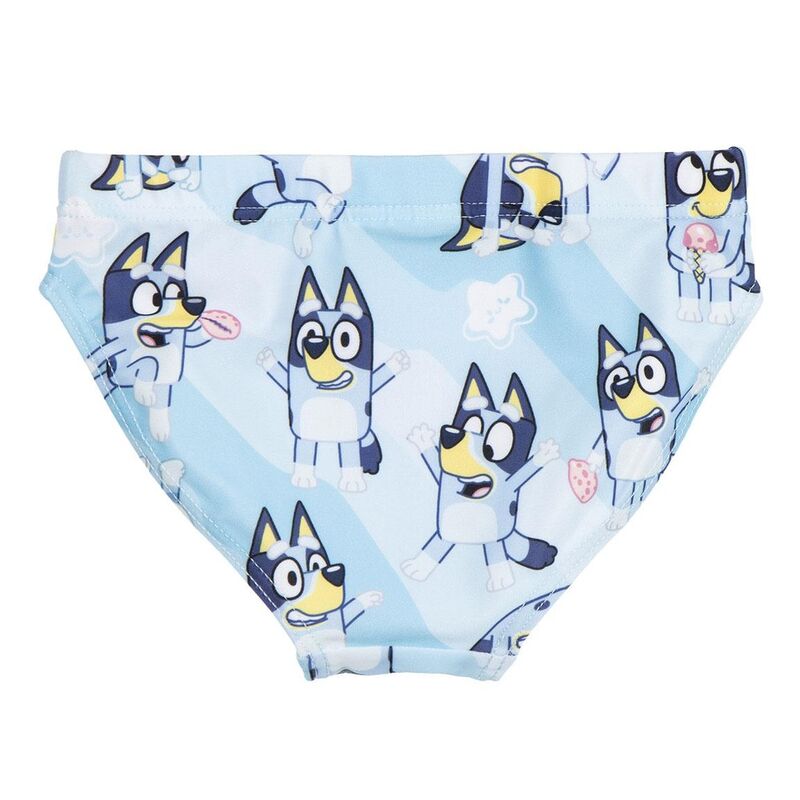 Bluey slip swimwear Nerdscape