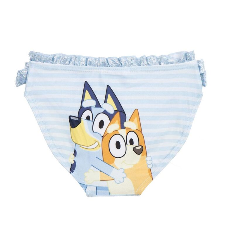 Bluey swim panties Nerdscape