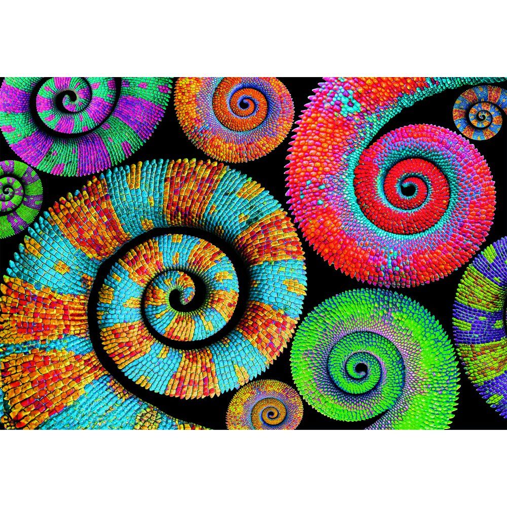 Color Boom Curly Tails puzzle 500pcs Nerdscape
