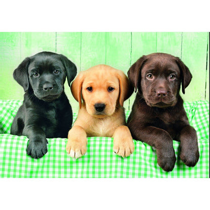 High Quality Three Labs puzzle 1000pcs Nerdscape