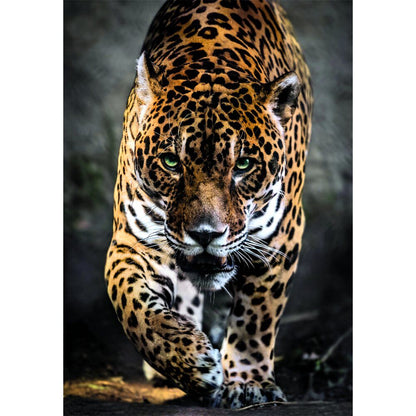 High Quality Walk of the Jaguar puzzle 1000pcs Nerdscape