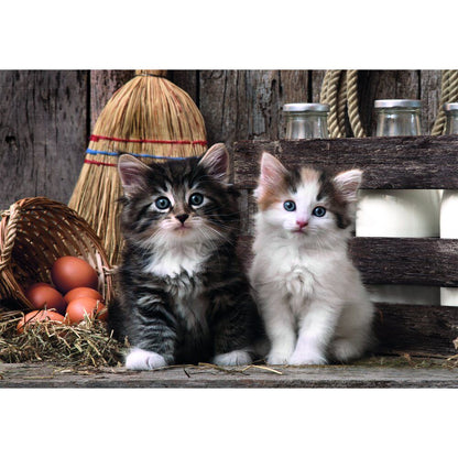 High Quality Lovely Kittens puzzle 1000pcs Nerdscape
