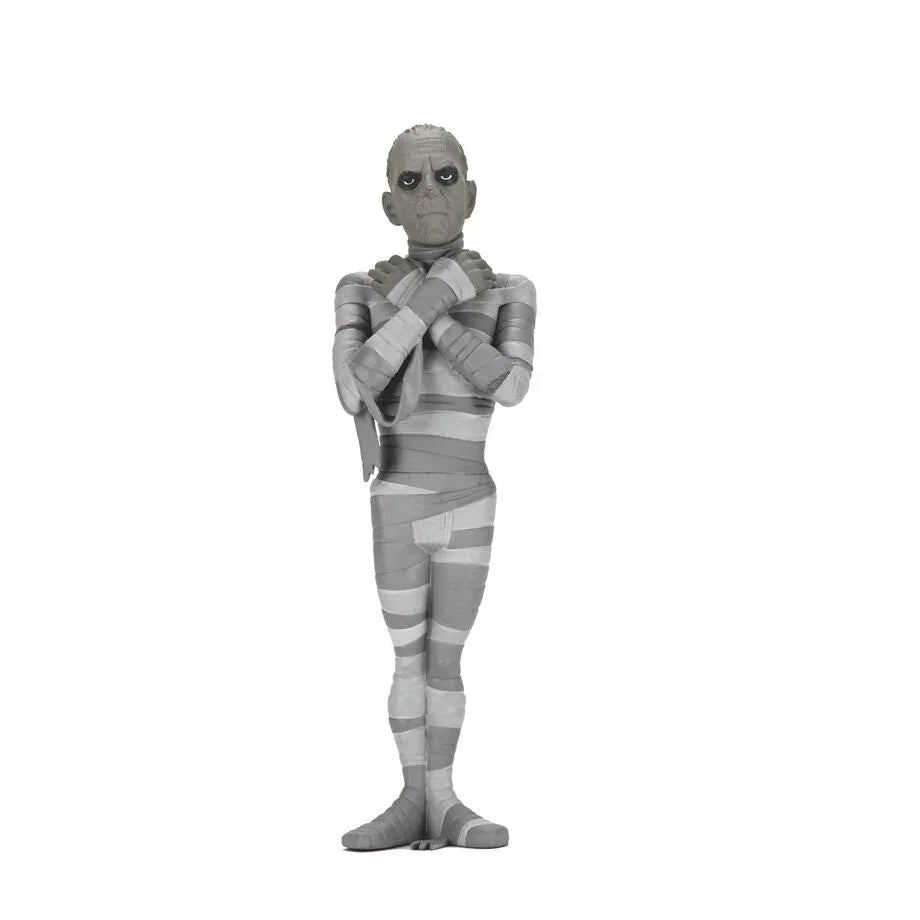 Funko Pop! The Mummy Black & White Toony Terrors - Figura da Collezione Nerdscape Nerdscape