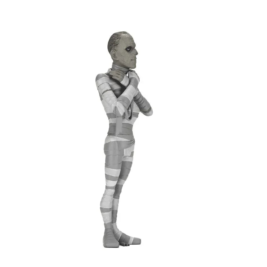 Funko Pop! The Mummy Black & White Toony Terrors - Figura da Collezione Nerdscape Nerdscape
