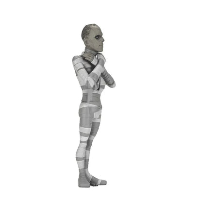 Funko Pop! The Mummy Black & White Toony Terrors - Figura da Collezione Nerdscape Nerdscape