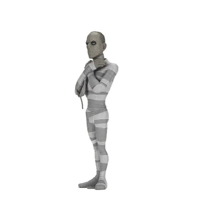 Funko Pop! The Mummy Black & White Toony Terrors - Figura da Collezione Nerdscape Nerdscape