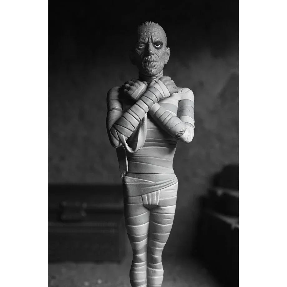 Funko Pop! The Mummy Black & White Toony Terrors - Figura da Collezione Nerdscape Nerdscape