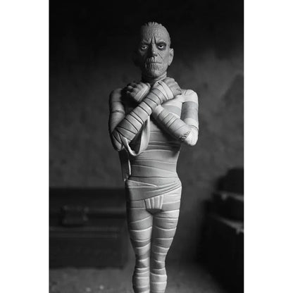 Funko Pop! The Mummy Black & White Toony Terrors - Figura da Collezione Nerdscape Nerdscape