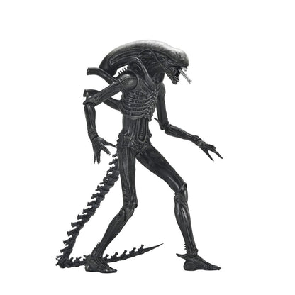 Alien: Romulus Xenomorph Ultimate figure 18cm