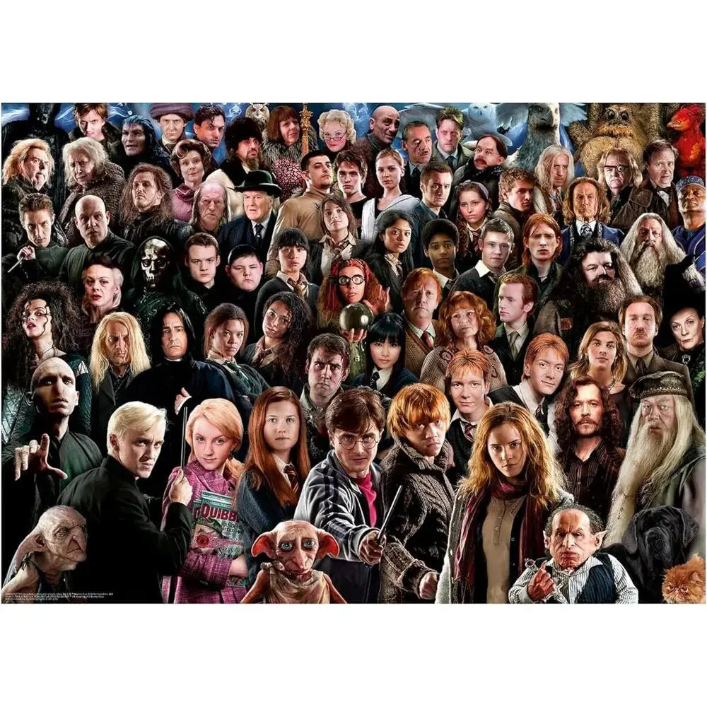 Harry Potter puzzle 1000pcs Nerdscape