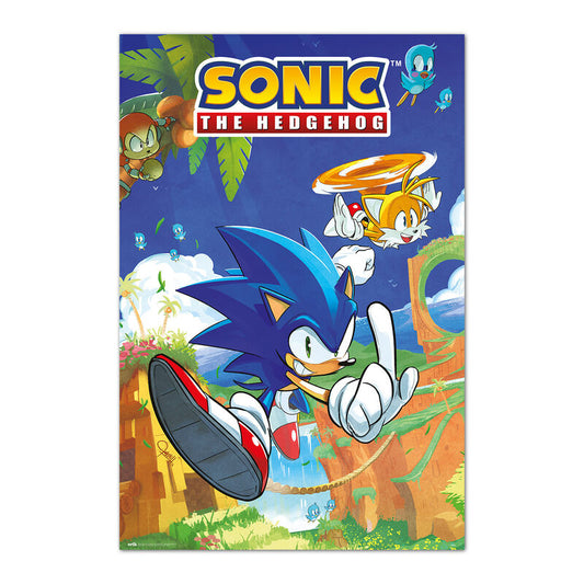 Sonic The Hedgehog & Tails Poster Collezione Nerdscape 91,5x61cm Carta Lucida Alta Qualità
