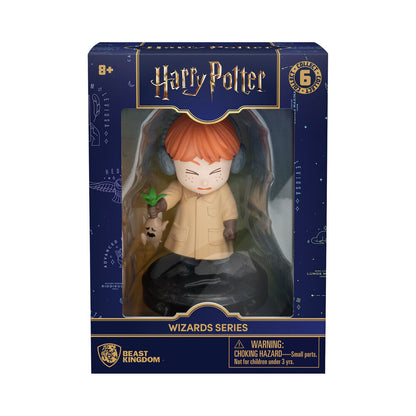 Harry Potter assorted figures