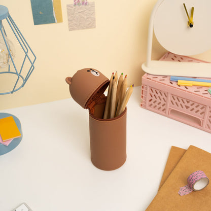 Line Friends Brown 3D pencil case