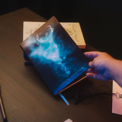 Harry Potter A5 Lenticular notebook Nerdscape