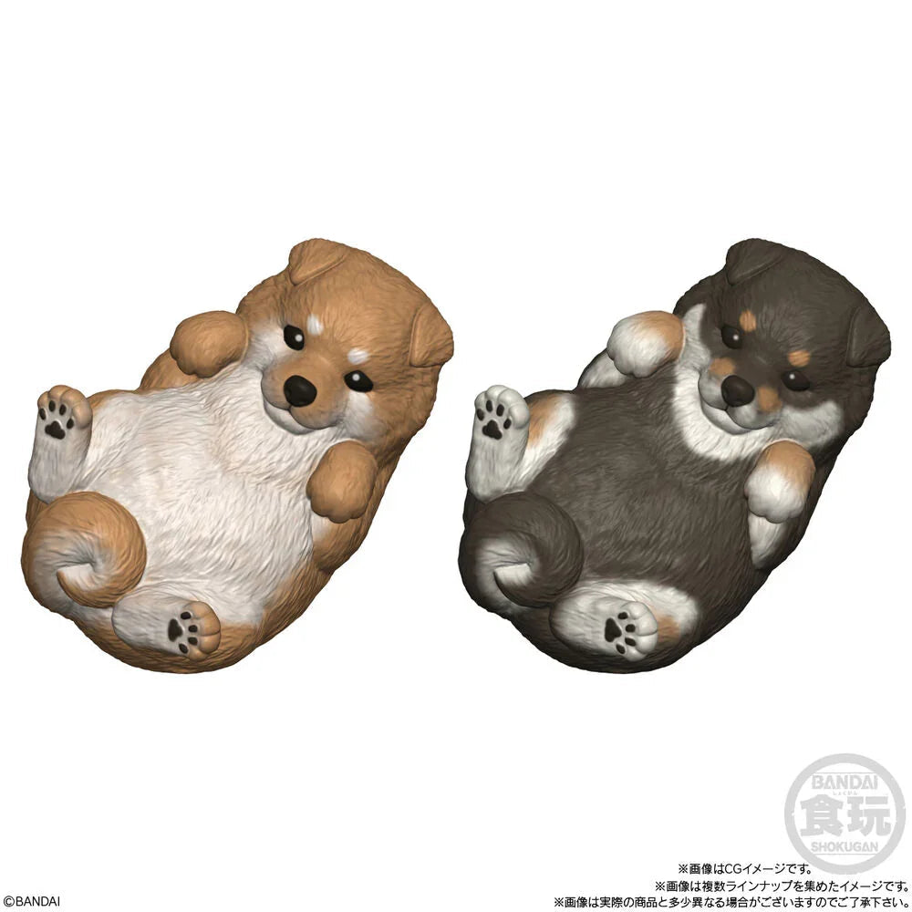 Mocchiri Kororin Dogs assorted figure Nerdscape