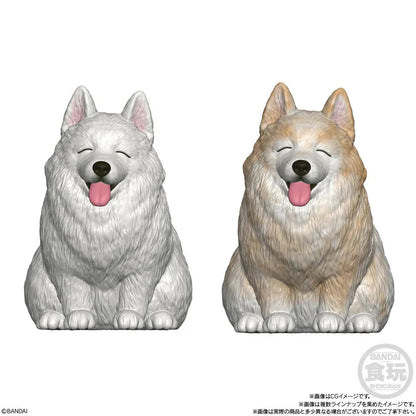 Mocchiri Kororin Dogs assorted figure Nerdscape