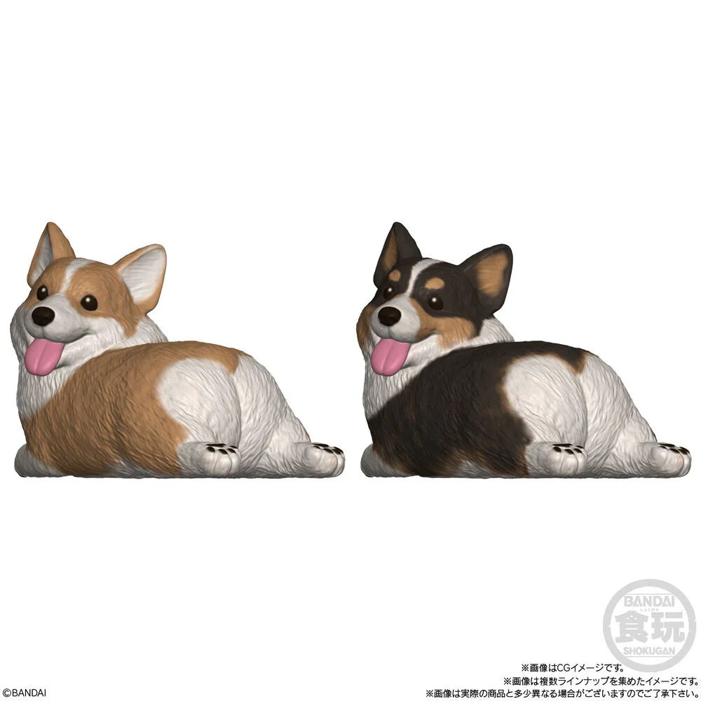 Mocchiri Kororin Dogs assorted figure Nerdscape