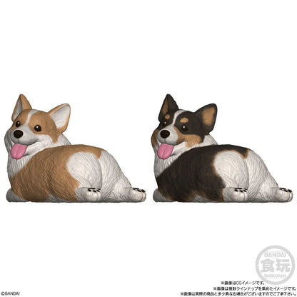 Mocchiri Kororin Dogs assorted figure Nerdscape