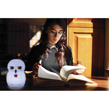 Funko Pop! Harry Potter 3D Night Light Figura da Collezione - Nerdscape Nerdscape