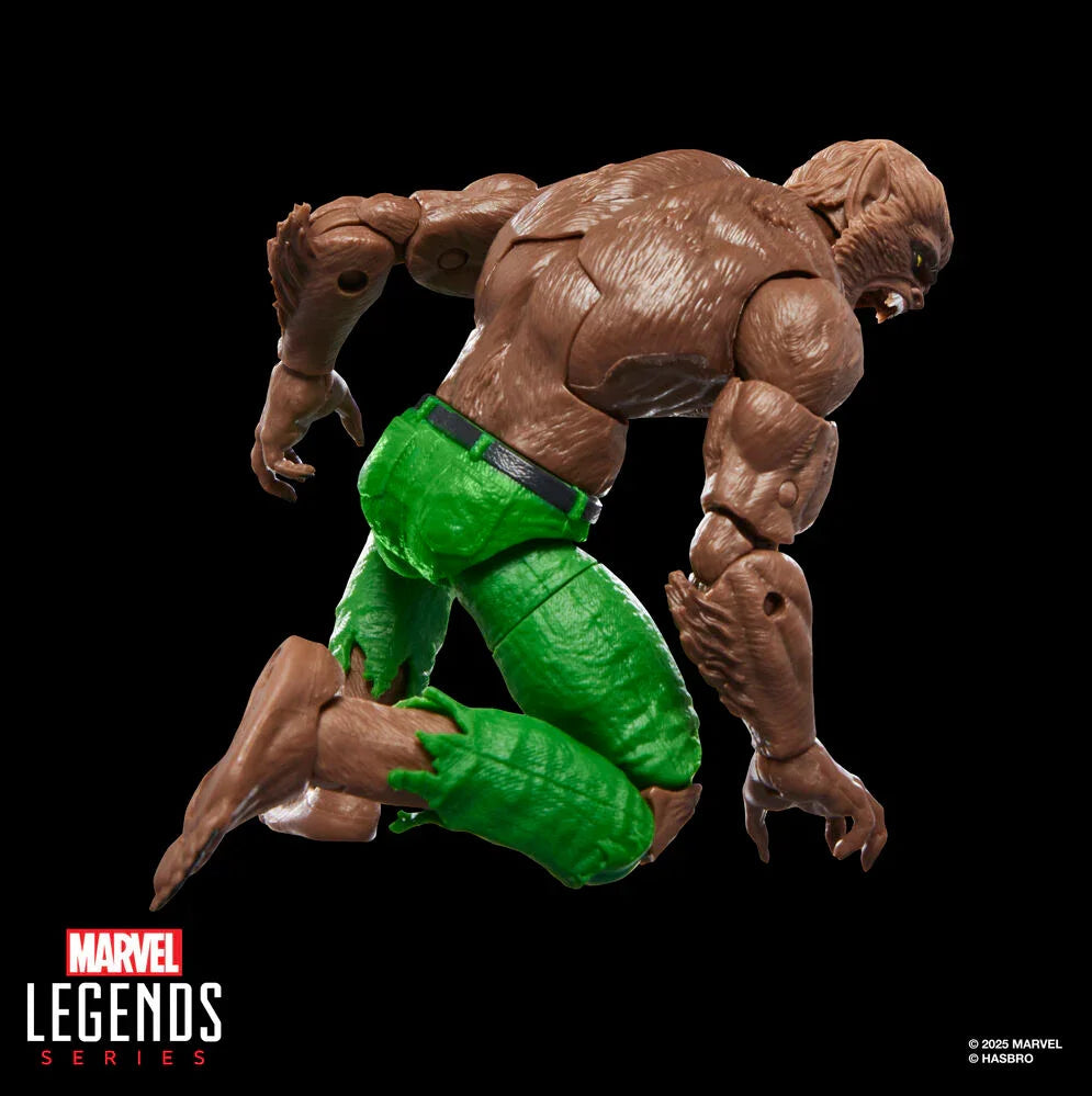 Marvel Legends Werewolf By Night Figura da Collezione 15cm - Nerdscape Nerdscape